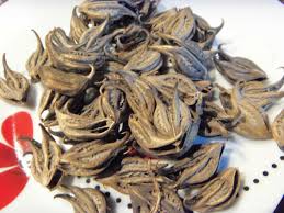 Cat's Claw Plant - ZANACEUTICA E.I.R.L